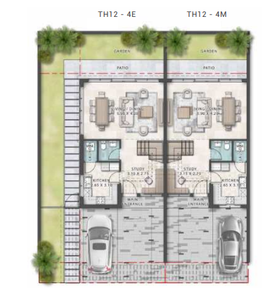 layout