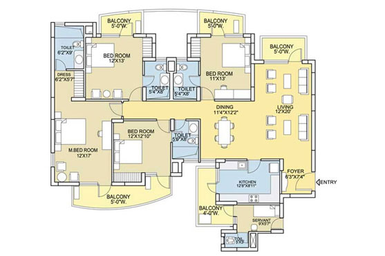 layout