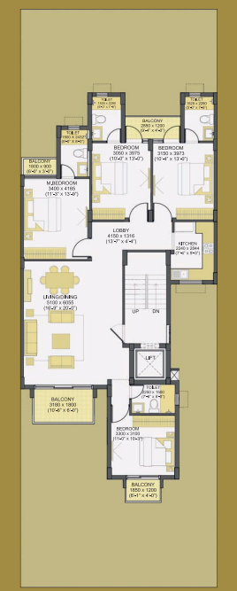 layout