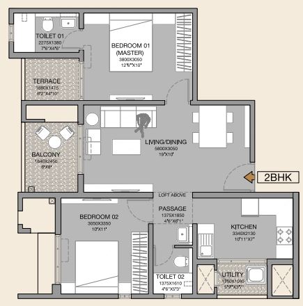 layout