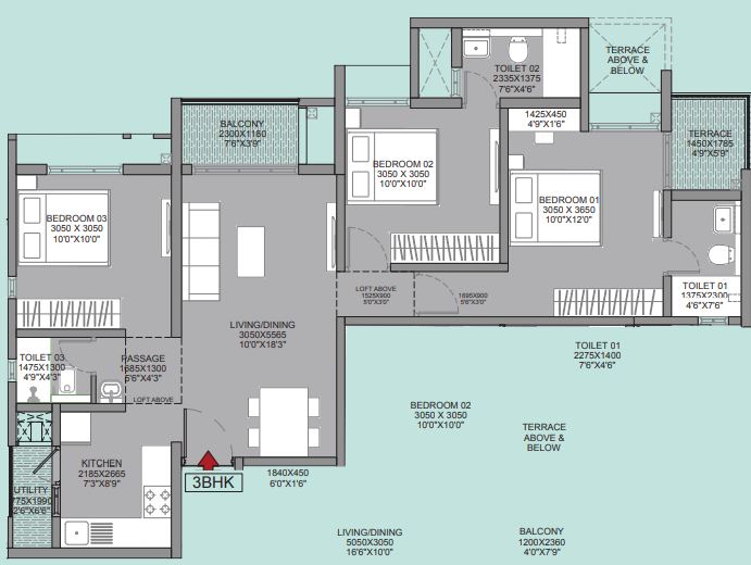 layout