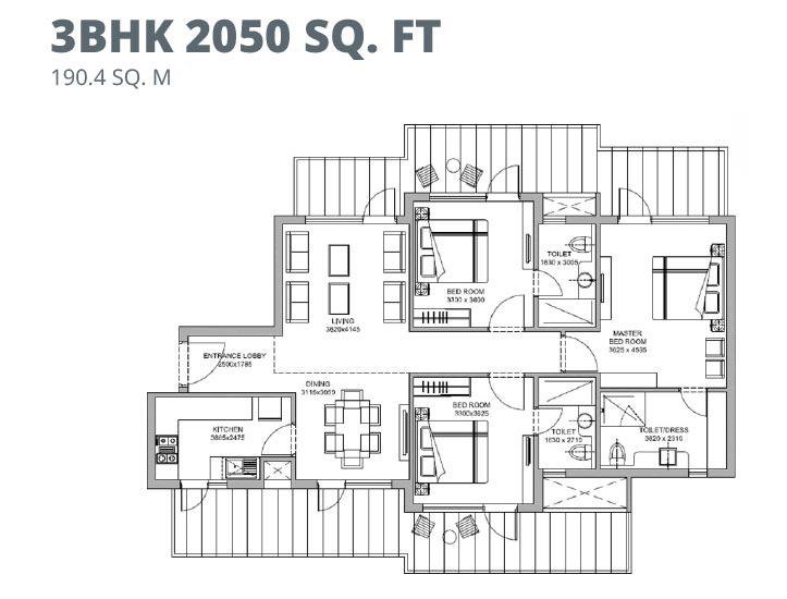 layout