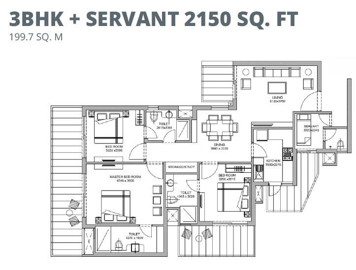 layout