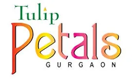 TULIP PETALS