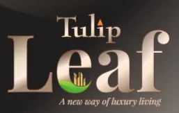 TULIP LEAF