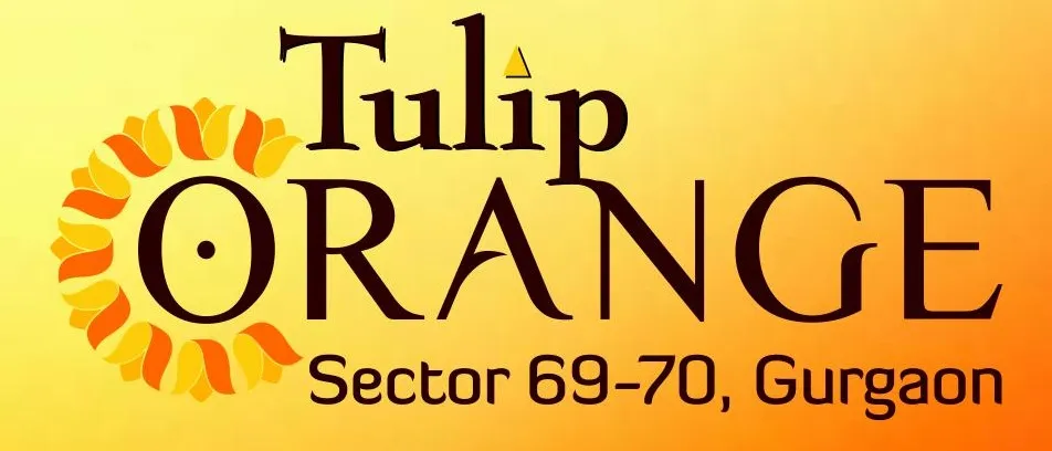 TULIP ORANGE