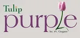 TULIP PURPLE