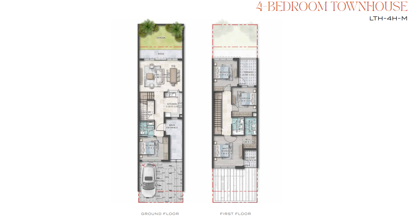 layout