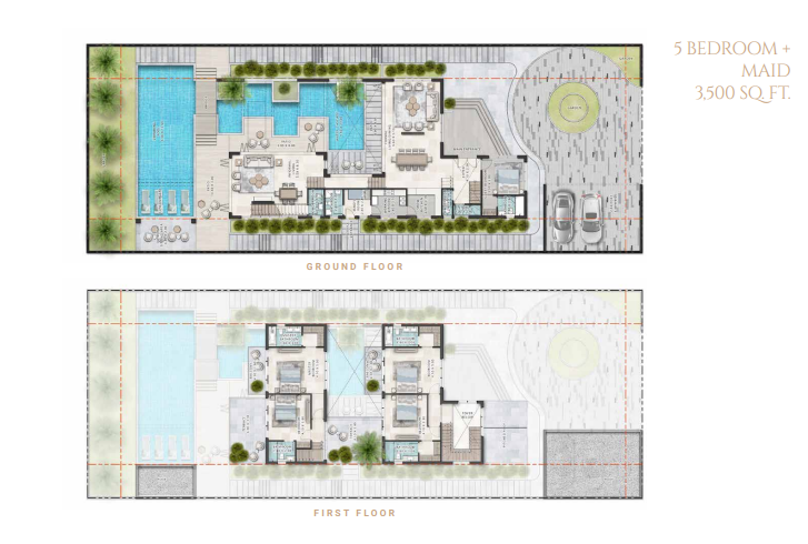 layout