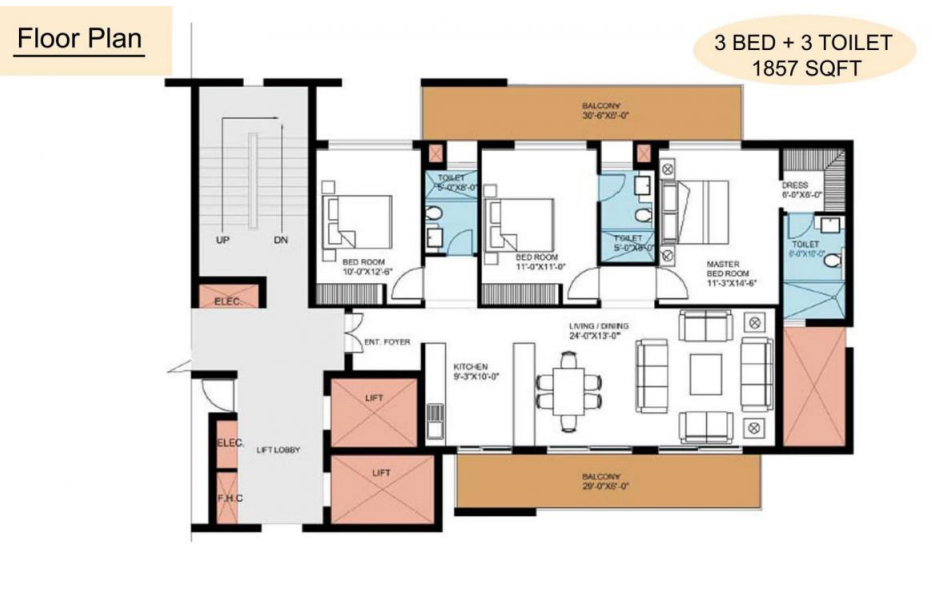 layout