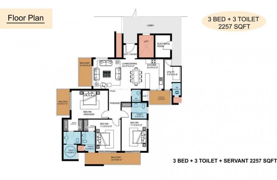 layout