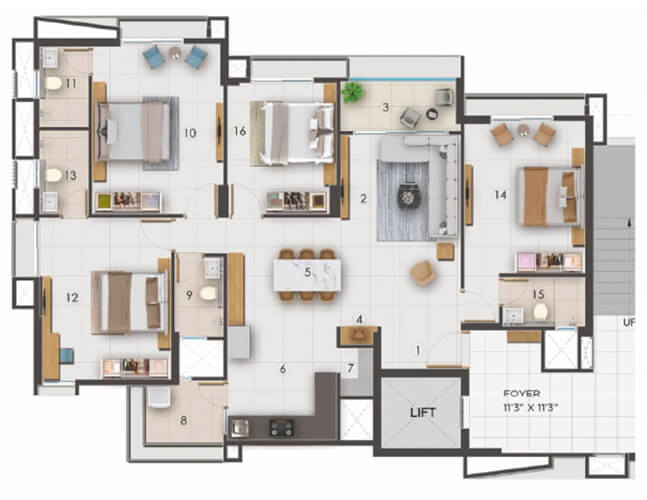 layout