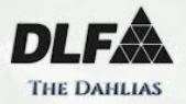 DLF The Dahlias