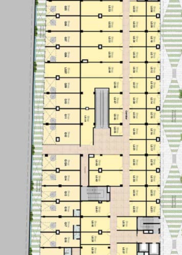 layout