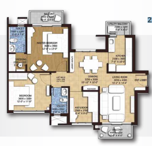 layout