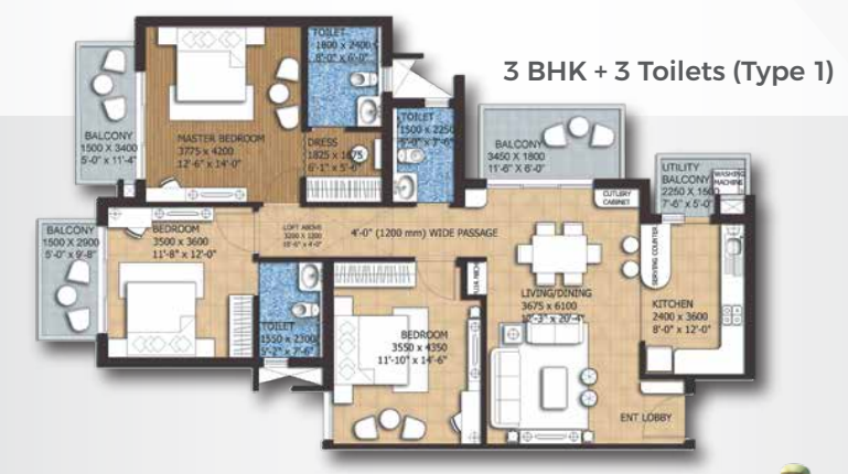 layout