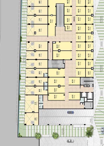 layout