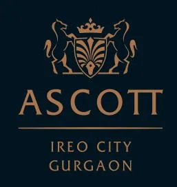 Ireo ascott