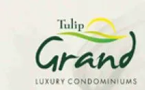 TULIP GRAND
