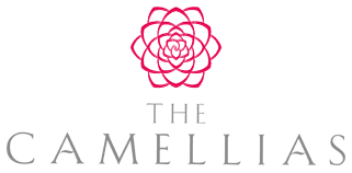 DLF The Camellias