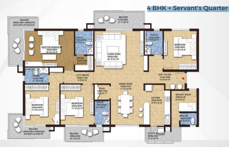 layout