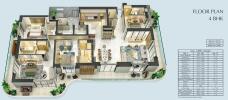 layout