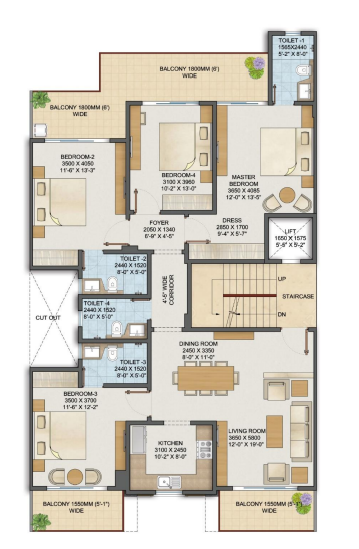 layout
