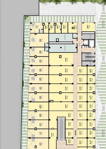 layout