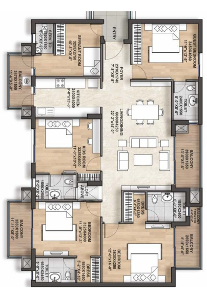 layout