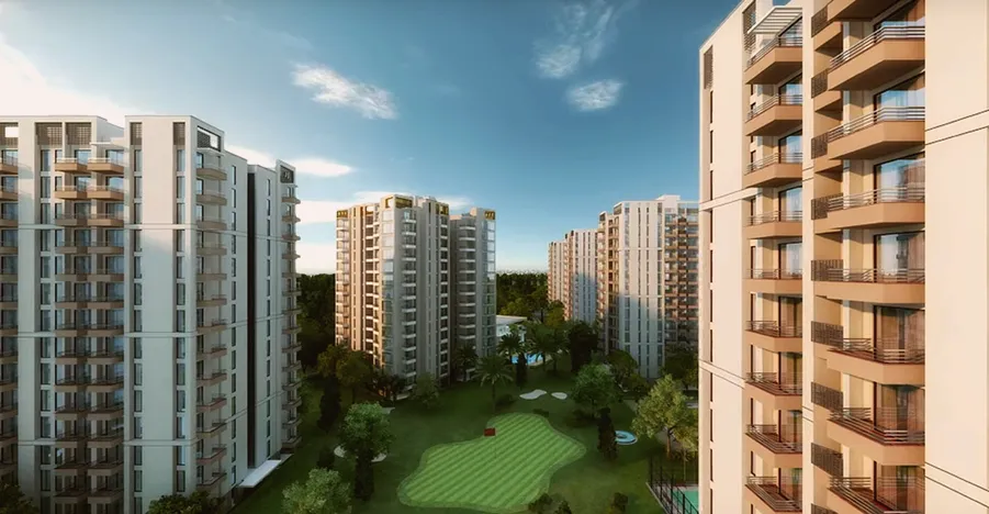 Silver glades the melia