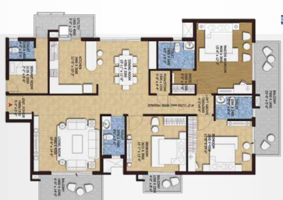 layout