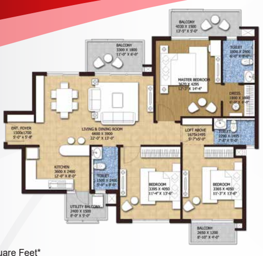 layout